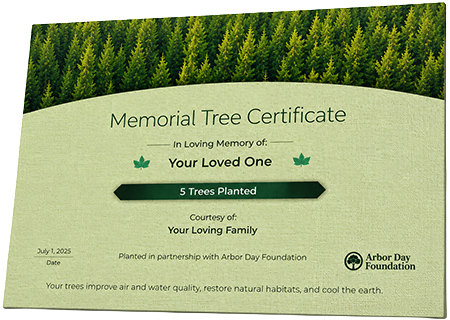 Plant Trees in Memory of Danyel Horton